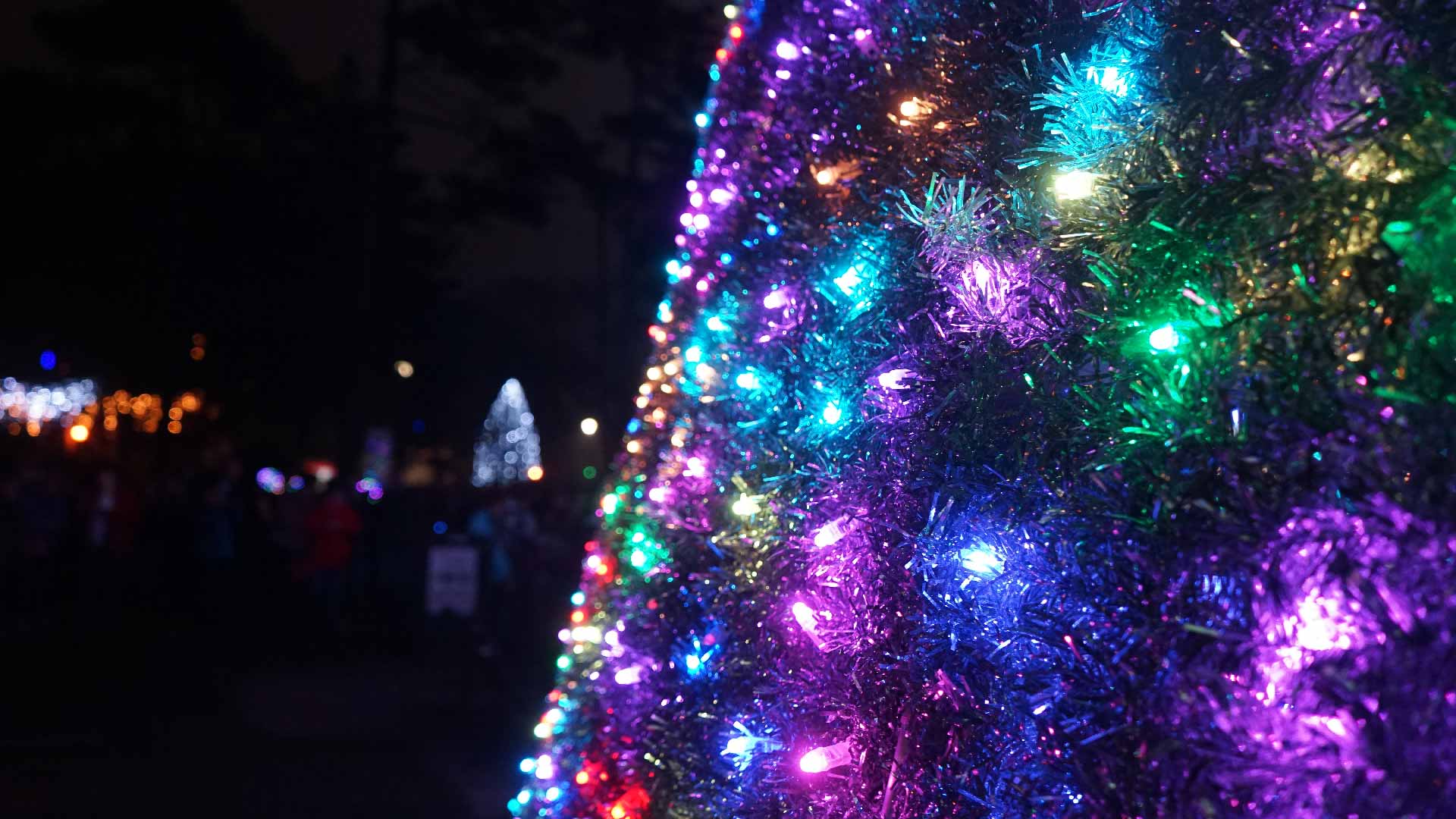 A colourful array of lights on a Christmas tree in Bournemouth